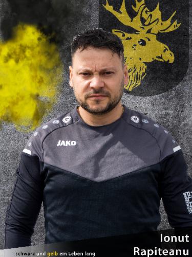Ionut Rapiteanu