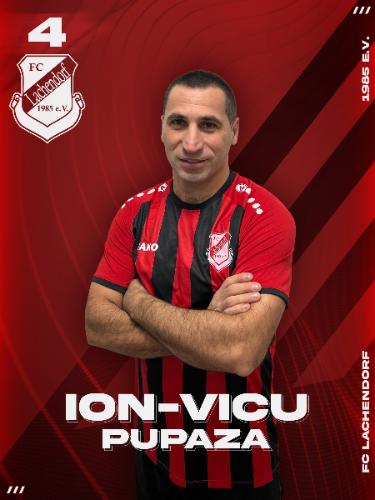 Ion-Vicu Pupaza