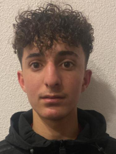 Mohamed Alali