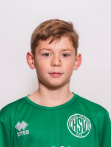 Theo Heinrich