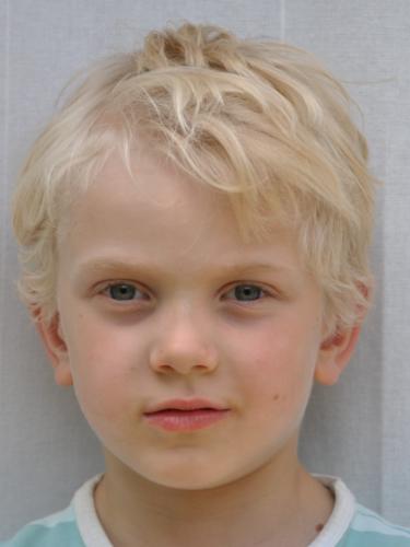 Bosse Jorik Ginzkey