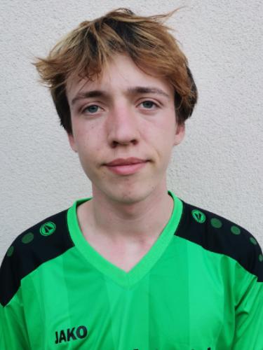 Louis Emil Ronan Bourdais