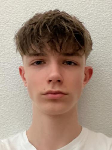 Henri Maximilian Schulte