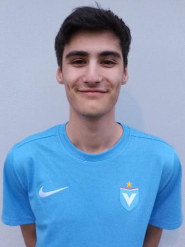 Luca Bergemann