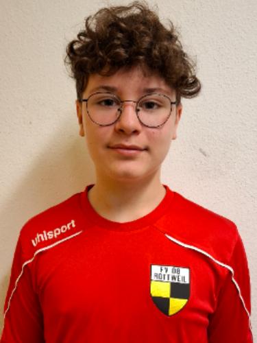 David Petru Vlasceanu