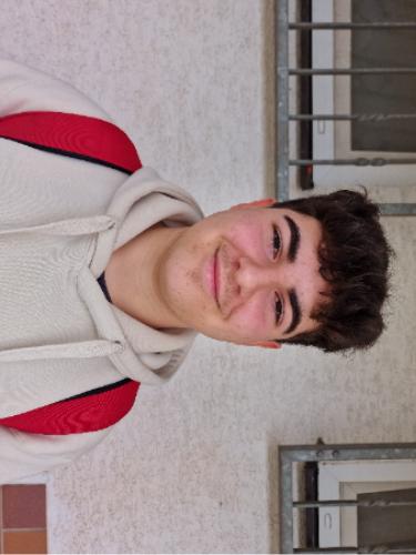 Melin Jildirim