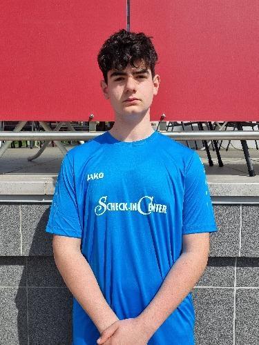 Domenico Alessandro Audino