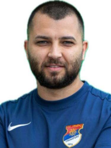 Slavisa Mitrovic