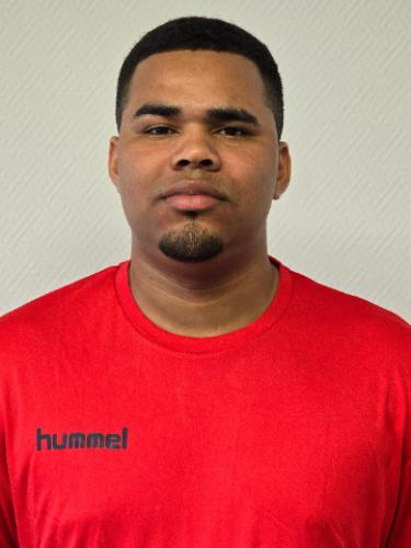 Jose Luis Moreno Perdomo