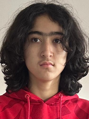 Amir Mohammed Hassani