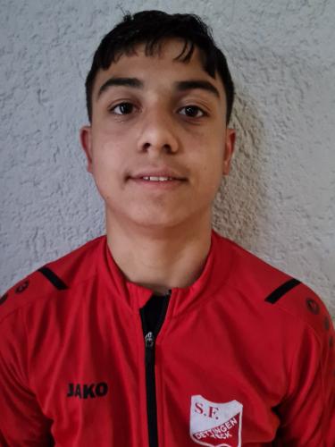 Admir Sadrija