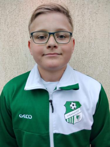 Niklas Mehnert