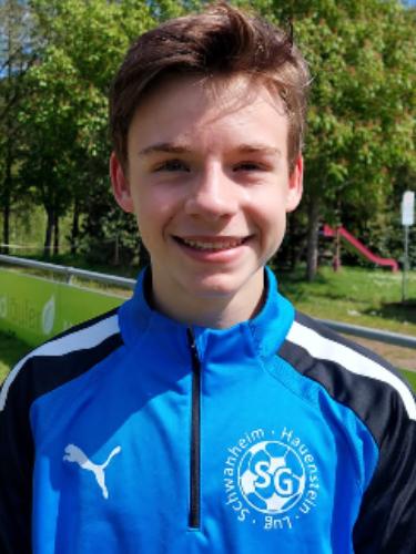 Luis Vincent Leo Steinhauser