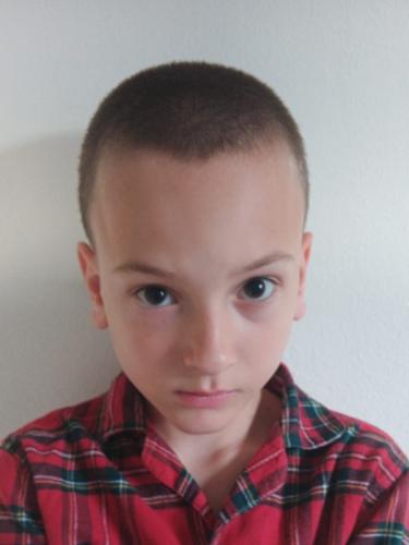 Mikail Köse