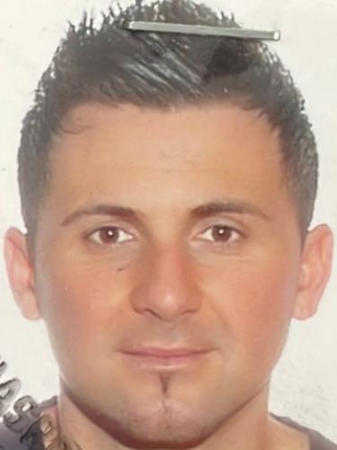 Almir Gavranovic