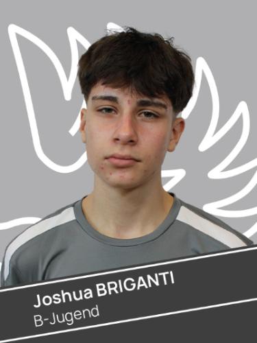 Joshua Briganti