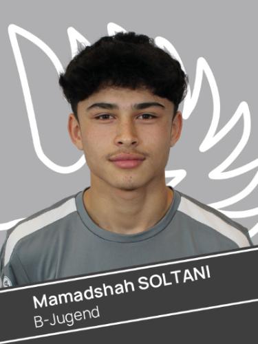 Mamadshah Soltani