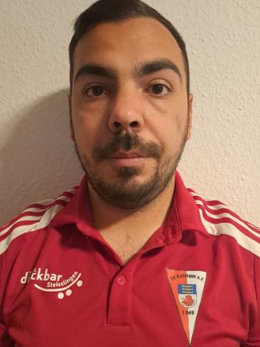 Emilio Verlingieri