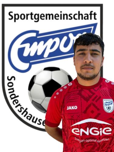 Mohammad Erfan Shirzad