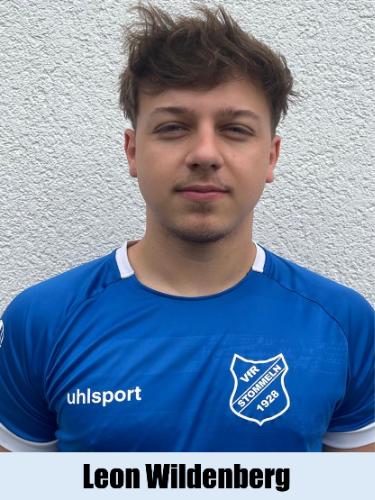 Leon Luis Wildenberg