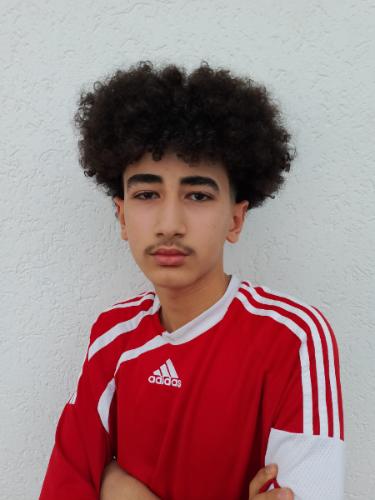 Walid Mamli
