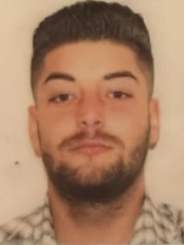 Cristian-Ionut Paltinasu