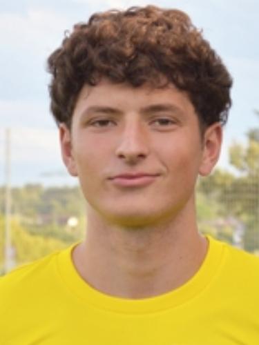 Leon Ajvazi