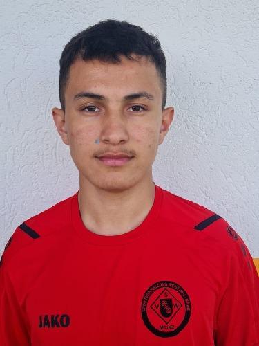Reza Hosseini