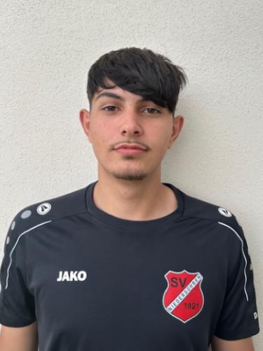 Vasilica Eduard Iulian Prioteasa