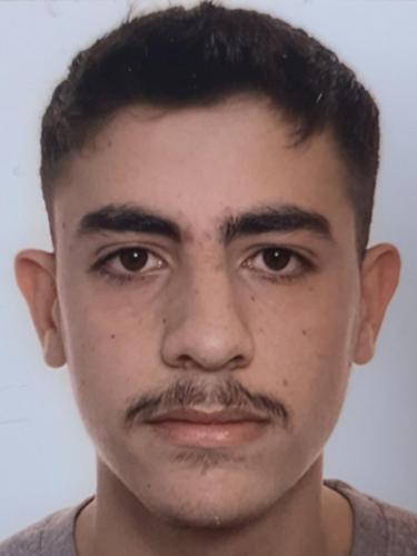Mohamad Alazab