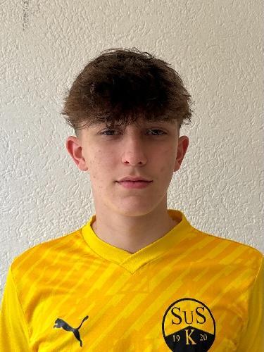 Leo Maximilian Schwarz