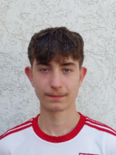 Julian Maximilian Schreinecke