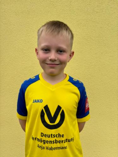 Felix Strich