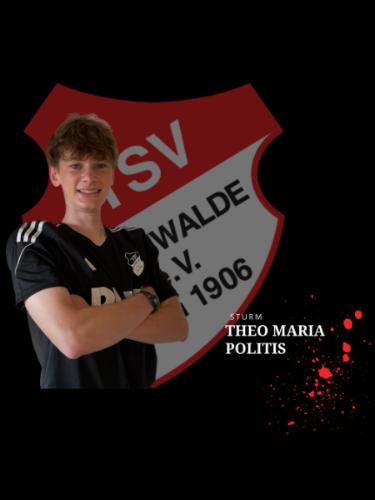 Theo Maria Politis