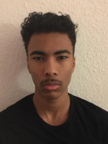 Mikael-Moussa Andre Battut