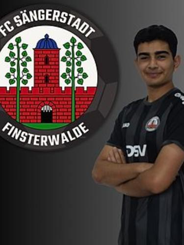 Mehmet Ergin