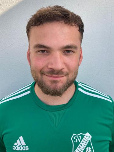 Bertin Gelenbevi
