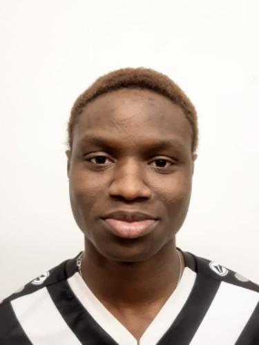 Prince Theophilius Osariemien Felix