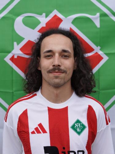 Vincent Luis Ben Hamouda