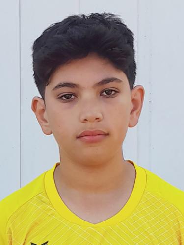Hemen Moslim Ali