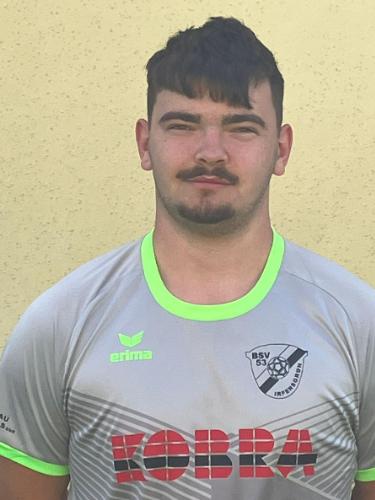 Theo Ritter von Sporschill