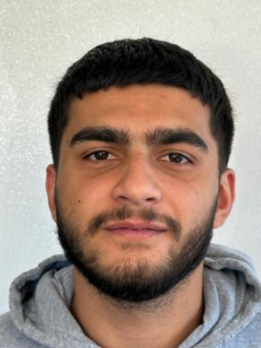 Ali Dil