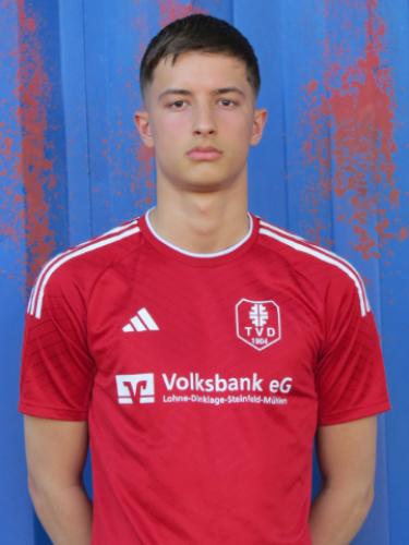 Dzejlan Fejzic