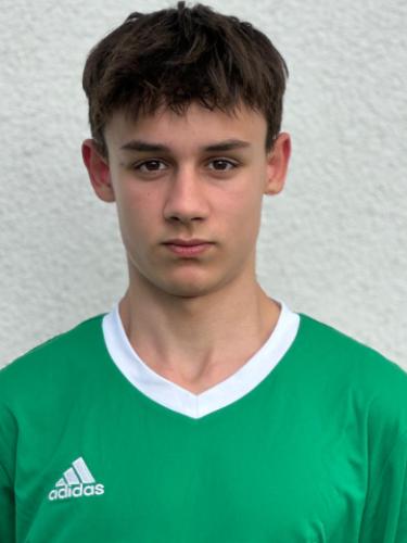 Fabian Johannes Strnad