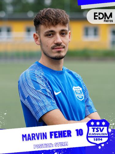 Marvin Feher