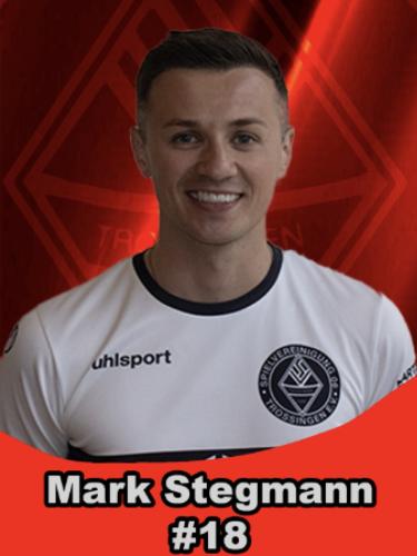Mark Stegmann