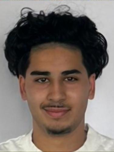 Romin Ahmadi
