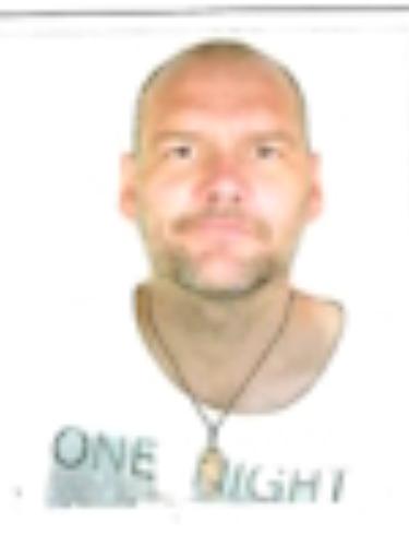 Daniel Herm