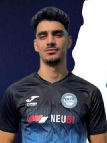 Mehdi Mohammadian