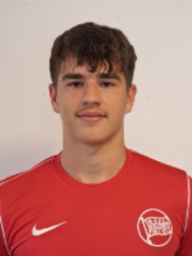 Nikolas Tatomirovic